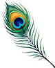 Feather
